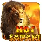 Hot Safari